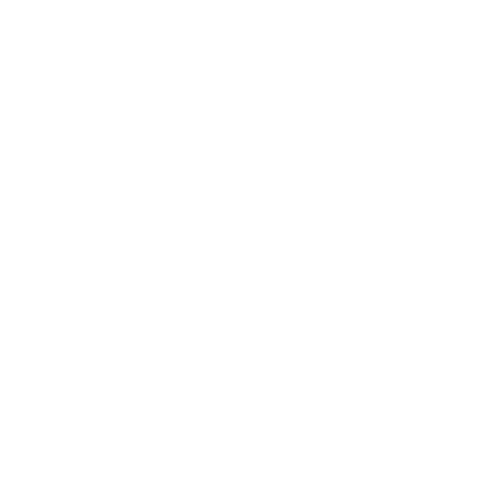 vendor agnostic digital partner