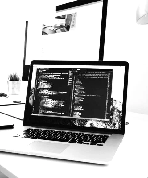 custom business software